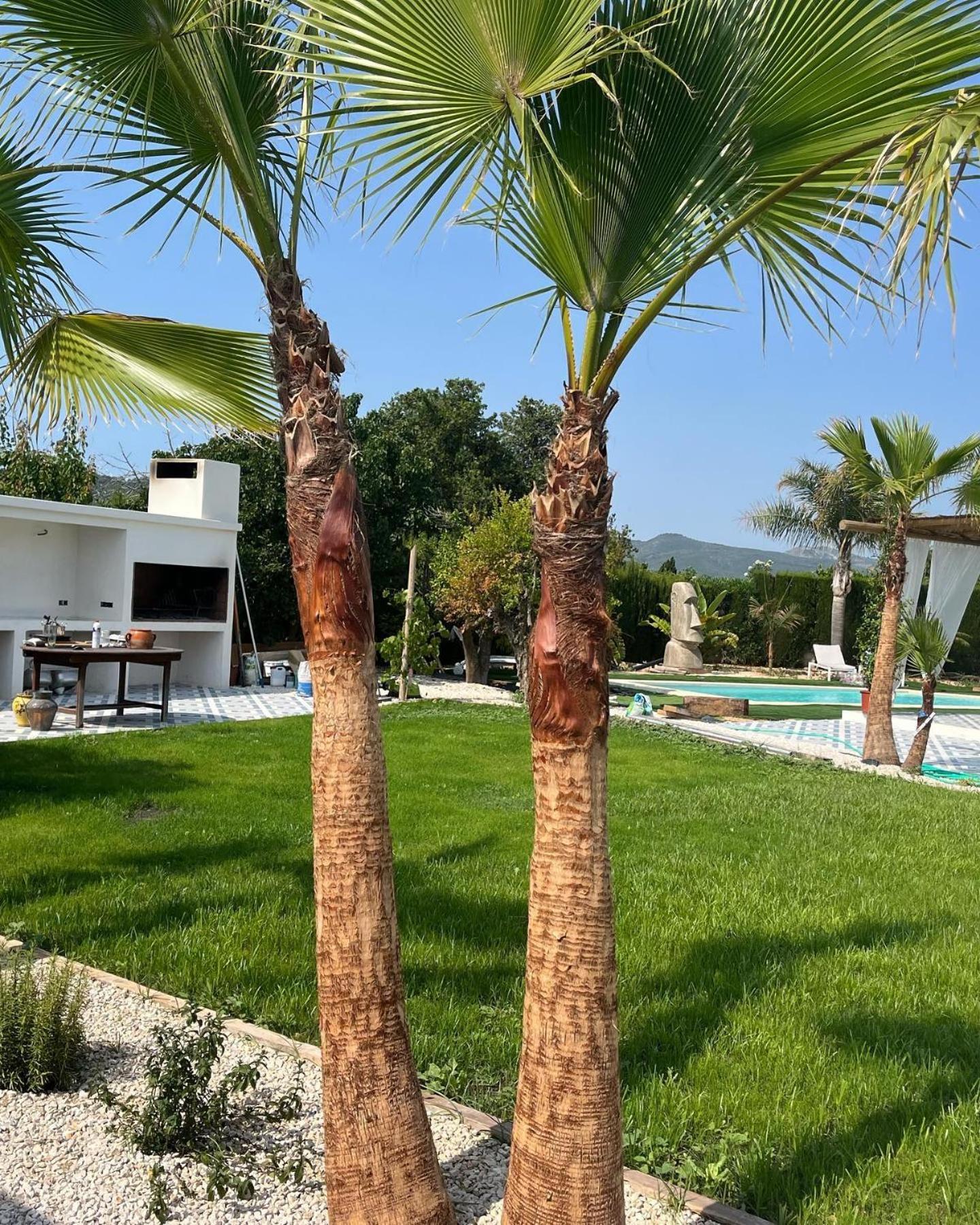 Casanoa Luxury Villa Bed And Breakfast Javea Exterior photo
